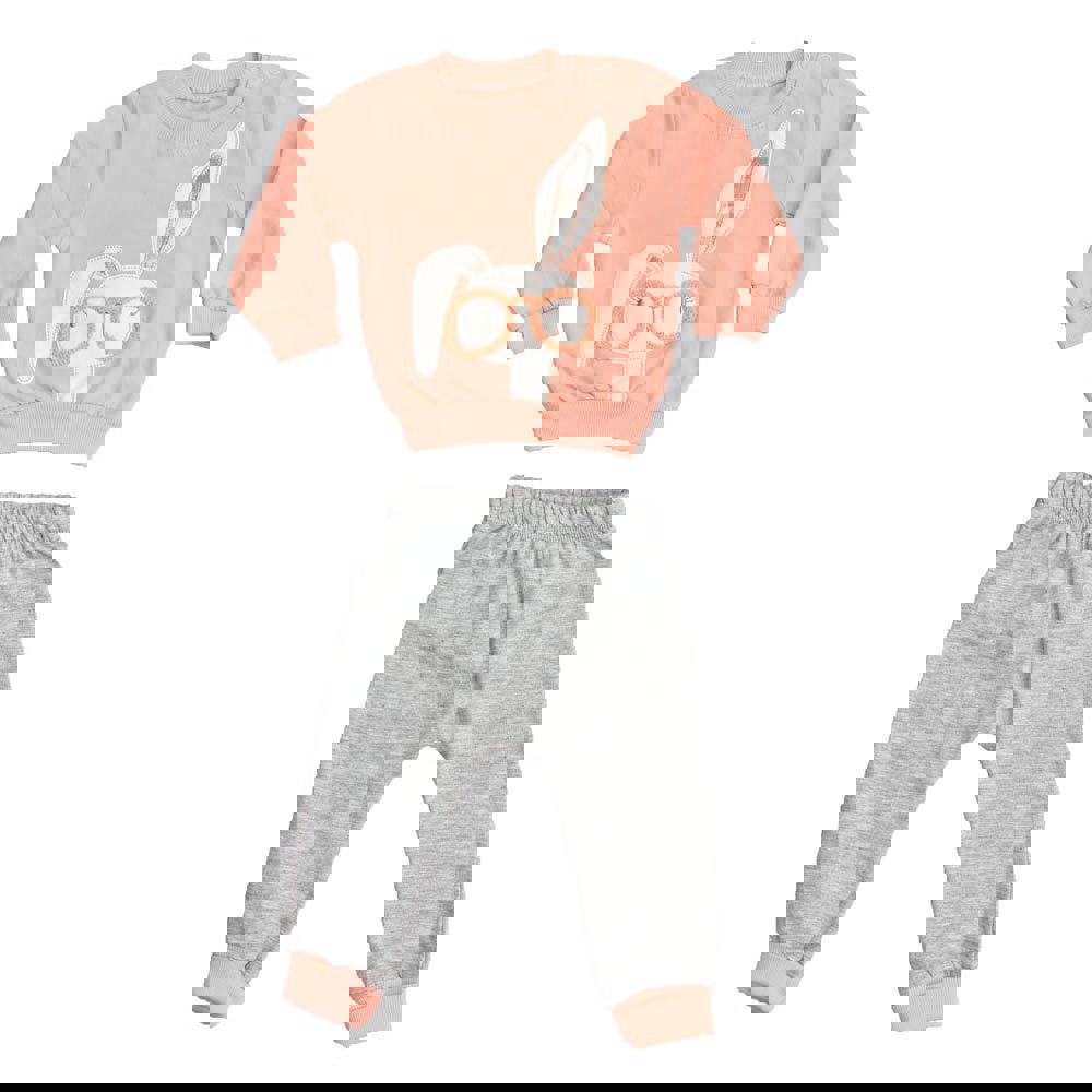 Βρεφικό σετ φόρμας με σχέδιο κουνέλι Σομόν 17164